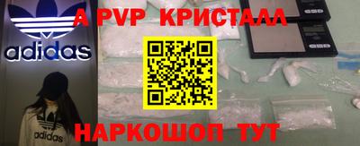 герыч Кингисепп